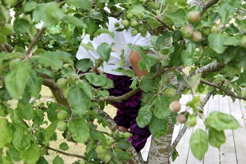 Barnbyxa för sommarlek